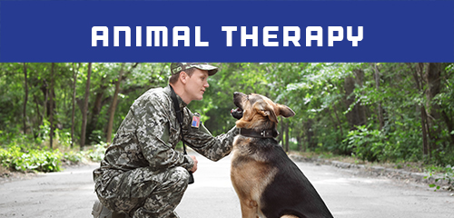 Animal-therapy